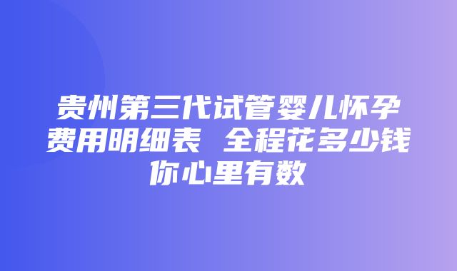 贵州第三代试管婴儿怀孕费用明细表 全程花多少钱你心里有数