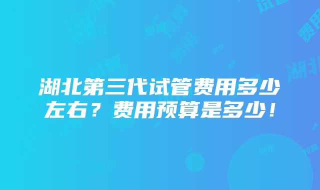 湖北第三代试管费用多少左右？费用预算是多少！