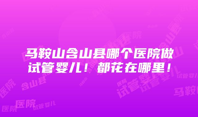 马鞍山含山县哪个医院做试管婴儿！都花在哪里！