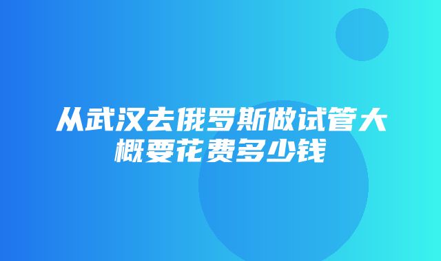 从武汉去俄罗斯做试管大概要花费多少钱