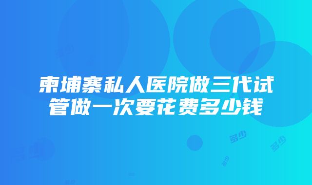 柬埔寨私人医院做三代试管做一次要花费多少钱