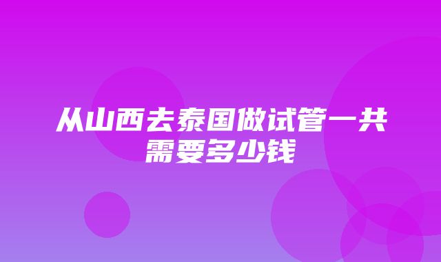 从山西去泰国做试管一共需要多少钱