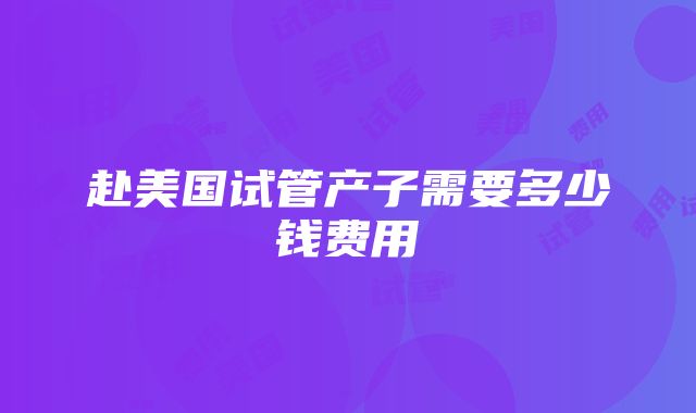 赴美国试管产子需要多少钱费用