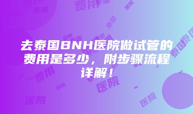 去泰国BNH医院做试管的费用是多少，附步骤流程详解！