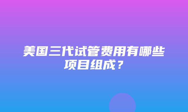 美国三代试管费用有哪些项目组成？