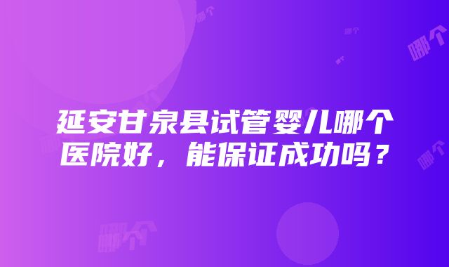 延安甘泉县试管婴儿哪个医院好，能保证成功吗？