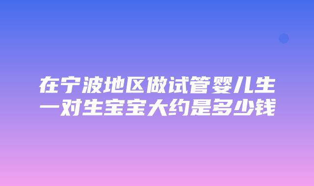 在宁波地区做试管婴儿生一对生宝宝大约是多少钱