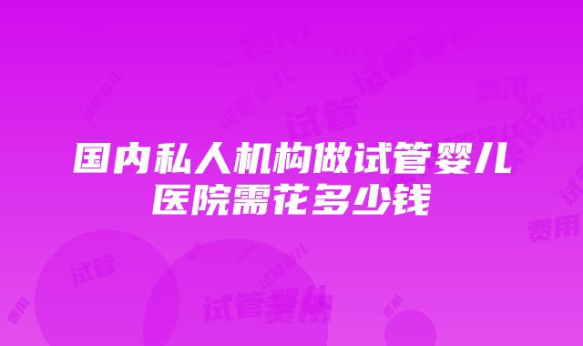 国内私人机构做试管婴儿医院需花多少钱