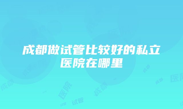 成都做试管比较好的私立医院在哪里