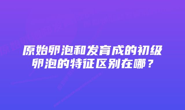 原始卵泡和发育成的初级卵泡的特征区别在哪？