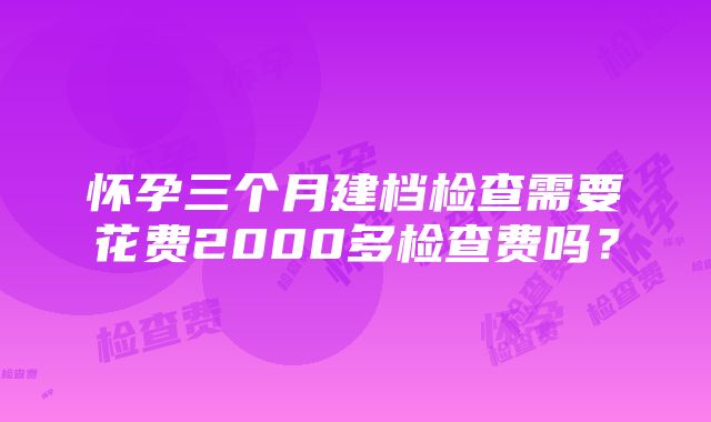 怀孕三个月建档检查需要花费2000多检查费吗？