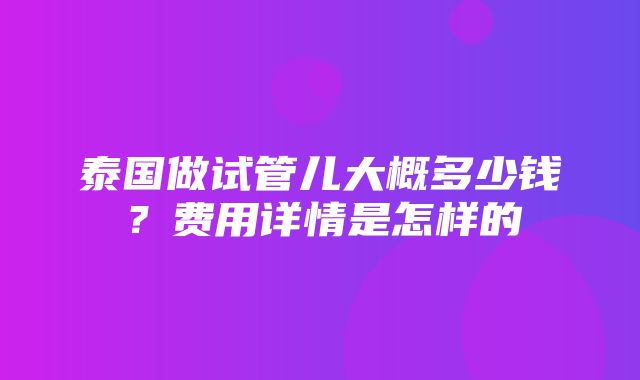 泰国做试管儿大概多少钱？费用详情是怎样的