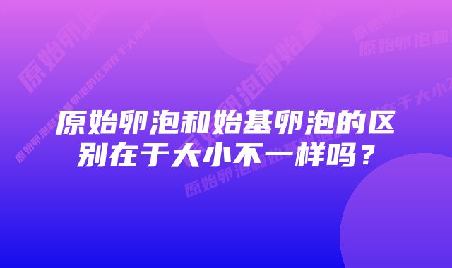 原始卵泡和始基卵泡的区别在于大小不一样吗？