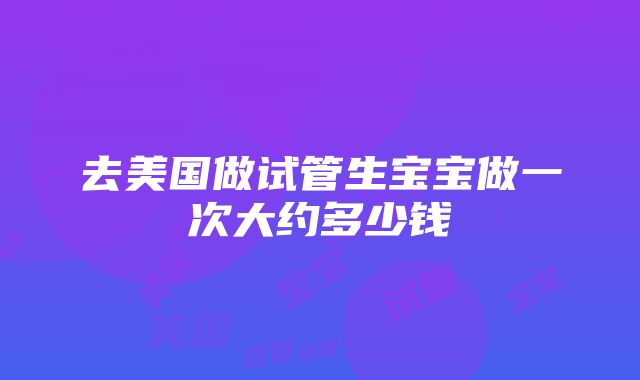 去美国做试管生宝宝做一次大约多少钱