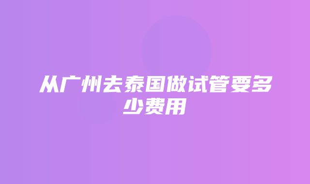 从广州去泰国做试管要多少费用