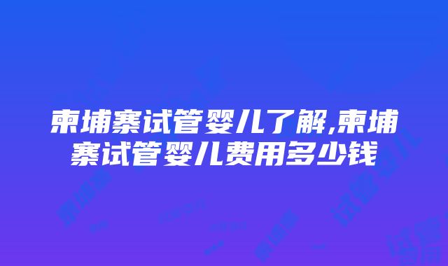 柬埔寨试管婴儿了解,柬埔寨试管婴儿费用多少钱