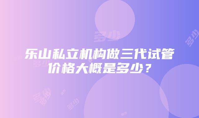 乐山私立机构做三代试管价格大概是多少？