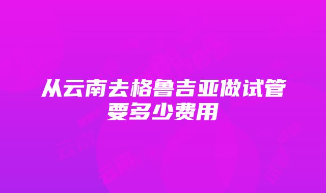 从云南去格鲁吉亚做试管要多少费用