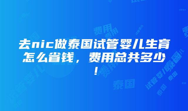 去nic做泰国试管婴儿生育怎么省钱，费用总共多少！