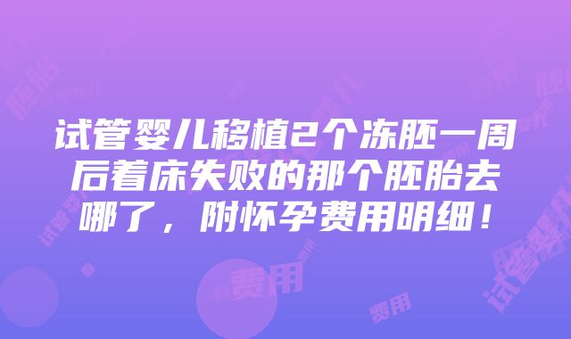 试管婴儿移植2个冻胚一周后着床失败的那个胚胎去哪了，附怀孕费用明细！