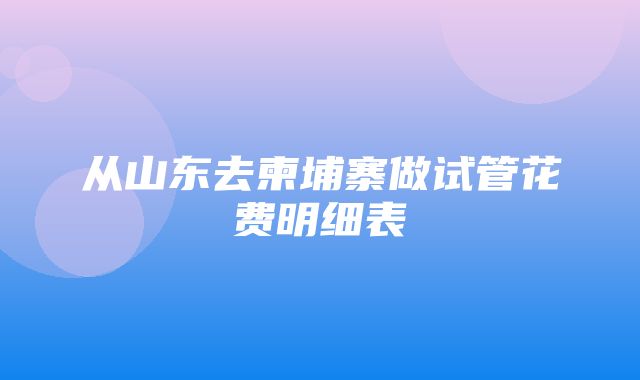 从山东去柬埔寨做试管花费明细表