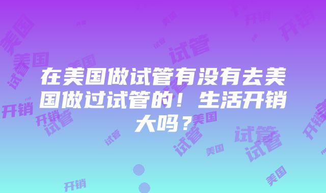 在美国做试管有没有去美国做过试管的！生活开销大吗？