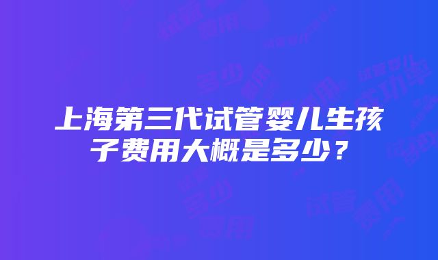 上海第三代试管婴儿生孩子费用大概是多少？