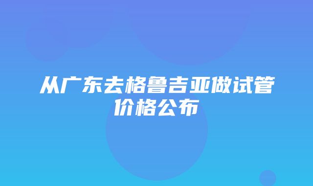 从广东去格鲁吉亚做试管价格公布