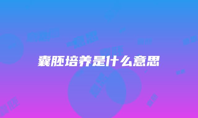 囊胚培养是什么意思