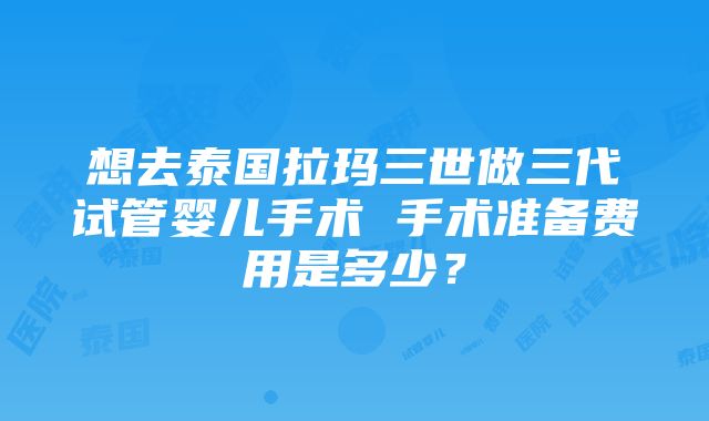 想去泰国拉玛三世做三代试管婴儿手术 手术准备费用是多少？