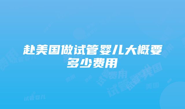 赴美国做试管婴儿大概要多少费用