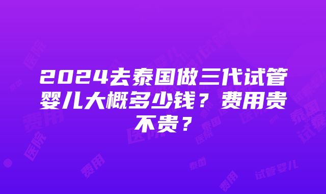 2024去泰国做三代试管婴儿大概多少钱？费用贵不贵？