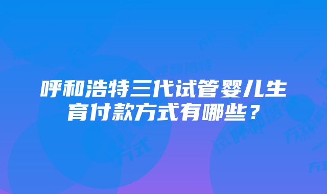 呼和浩特三代试管婴儿生育付款方式有哪些？