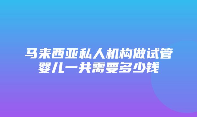 马来西亚私人机构做试管婴儿一共需要多少钱