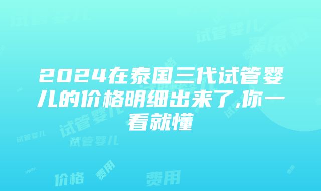 2024在泰国三代试管婴儿的价格明细出来了,你一看就懂