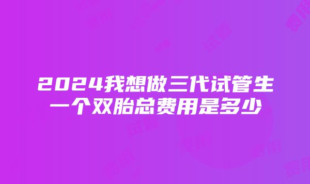 2024我想做三代试管生一个双胎总费用是多少