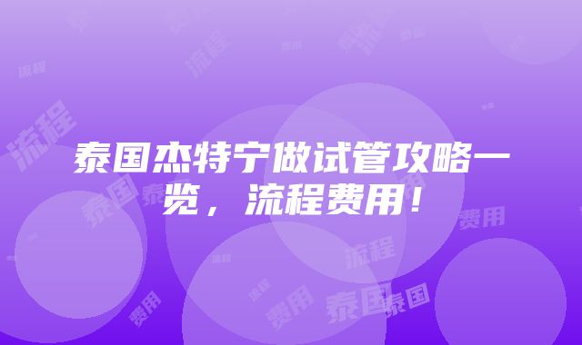 泰国杰特宁做试管攻略一览，流程费用！