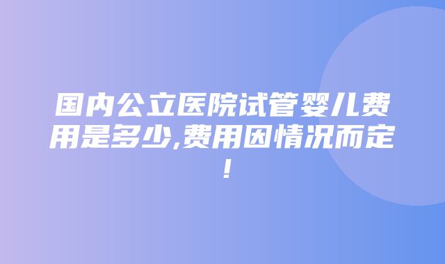 国内公立医院试管婴儿费用是多少,费用因情况而定！