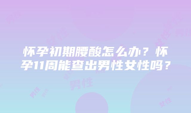 怀孕初期腰酸怎么办？怀孕11周能查出男性女性吗？