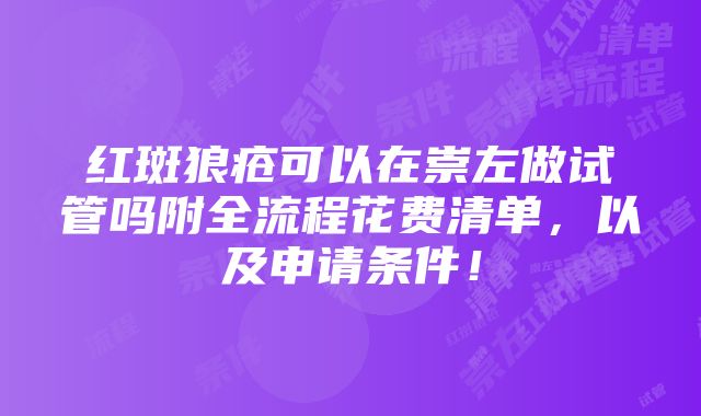 红斑狼疮可以在崇左做试管吗附全流程花费清单，以及申请条件！