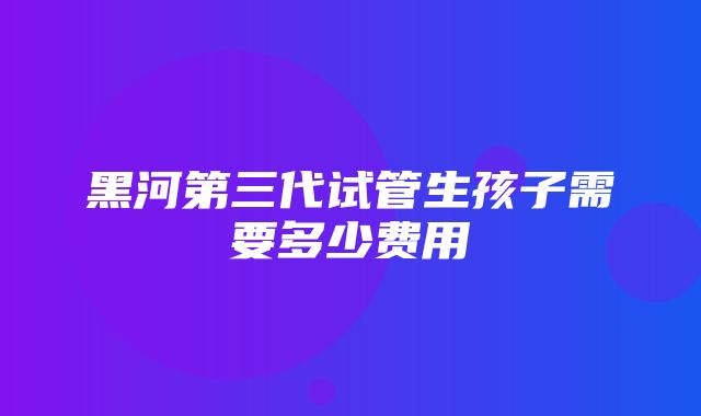 黑河第三代试管生孩子需要多少费用