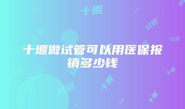 十堰做试管可以用医保报销多少钱