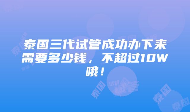 泰国三代试管成功办下来需要多少钱，不超过10W哦！