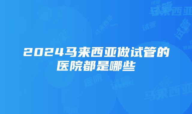 2024马来西亚做试管的医院都是哪些