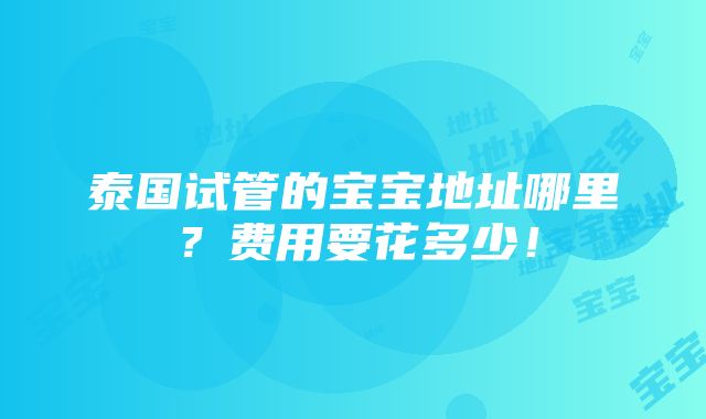 泰国试管的宝宝地址哪里？费用要花多少！