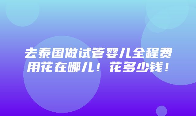 去泰国做试管婴儿全程费用花在哪儿！花多少钱！