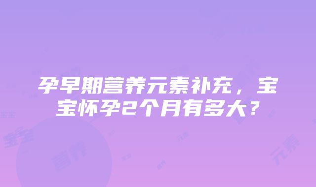 孕早期营养元素补充，宝宝怀孕2个月有多大？