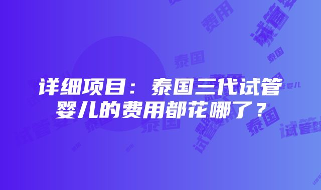 详细项目：泰国三代试管婴儿的费用都花哪了？