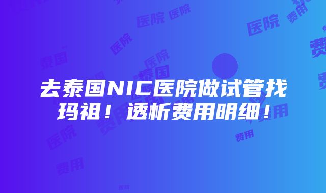 去泰国NIC医院做试管找玛祖！透析费用明细！