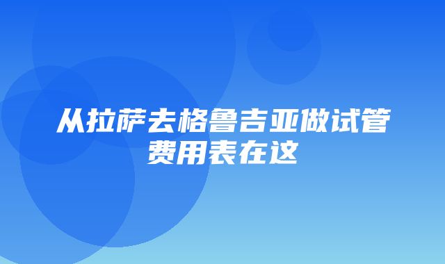 从拉萨去格鲁吉亚做试管费用表在这